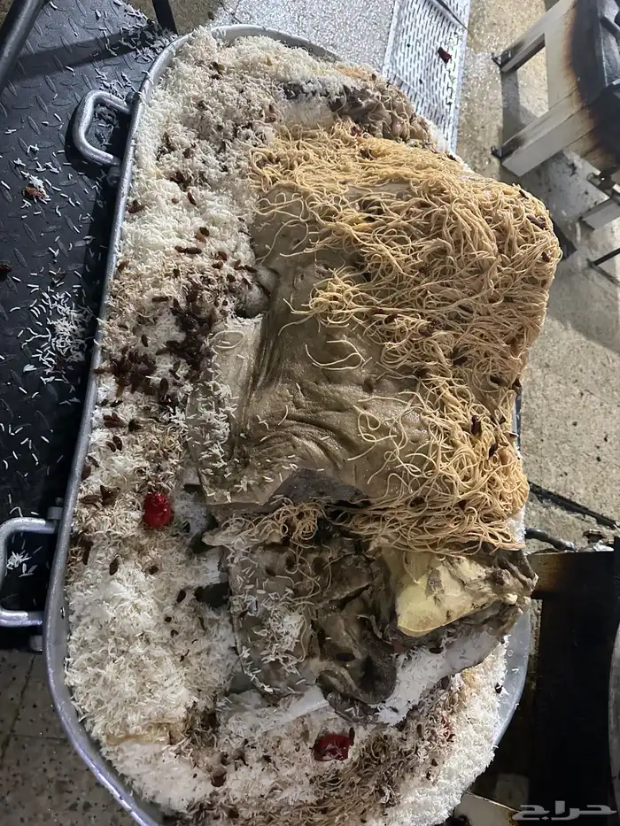 ذبائح ومطبخ 92