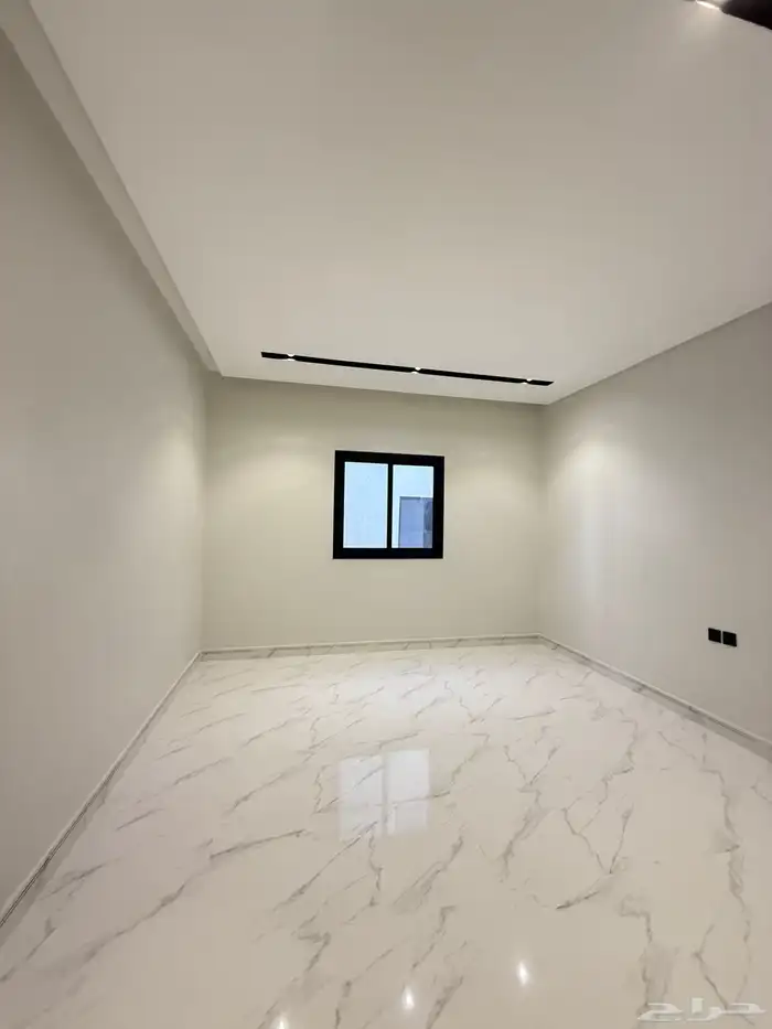 دور بصك في سماء عكاظ 2