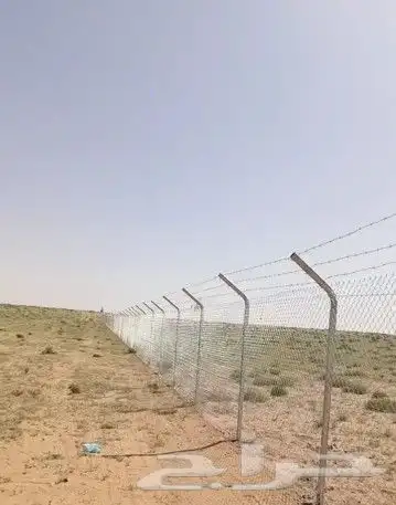مقاول شبوك ونخيل 7
