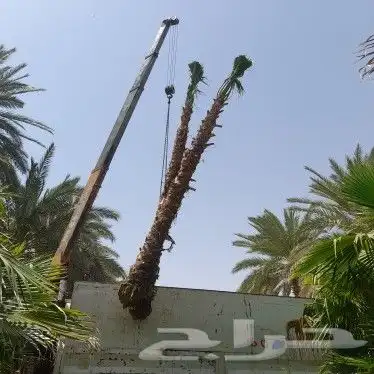 واشنطن للبيع 1
