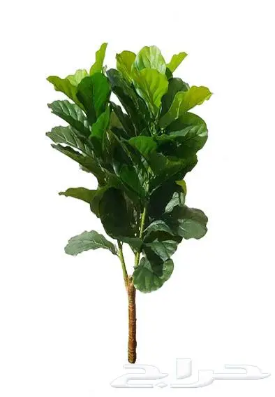 اشجار صناعية 8