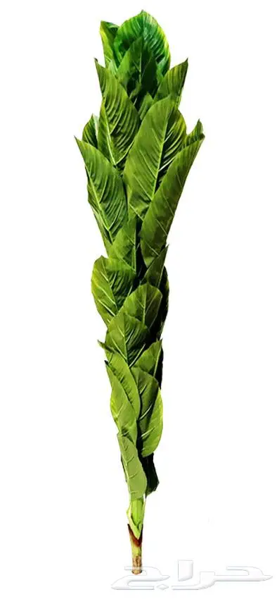 اشجار صناعية 13