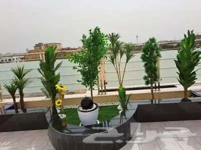 تنسيق حدائق 6