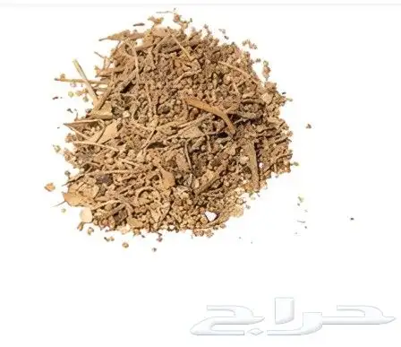 عشبه الشيبي الافريقيه 0
