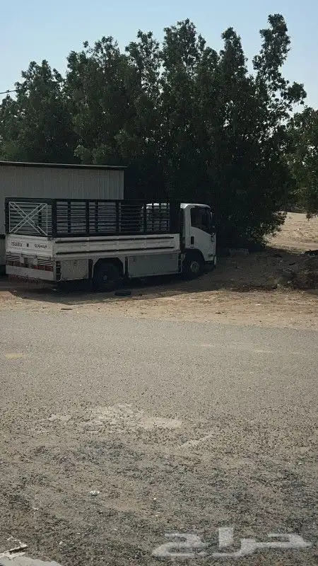 ابو طلق السوداني دينا نقل العفش 0