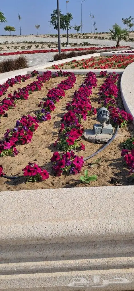 تنسيق حدائق المنطقه الشرقيه 0