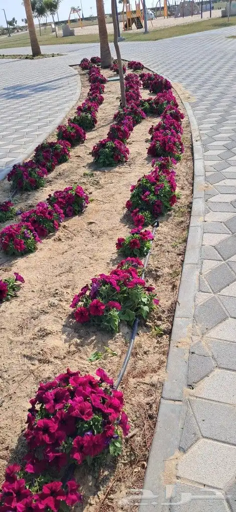 تنسيق حدائق المنطقه الشرقيه 3