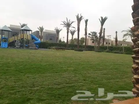 صيانه تنسيق حدائق وزراعه النخل والاشجار 9