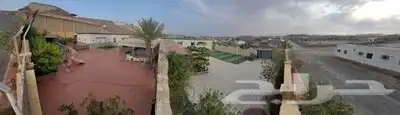 استراحة التاج لايحار يومي 2