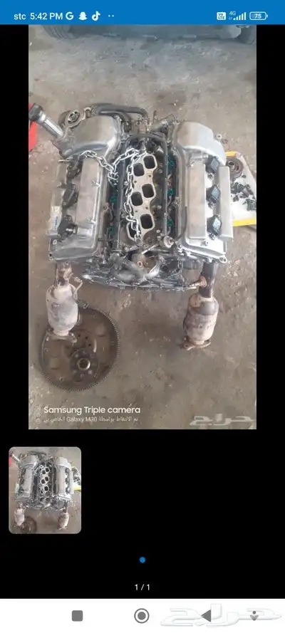الم  نه شاس 0
