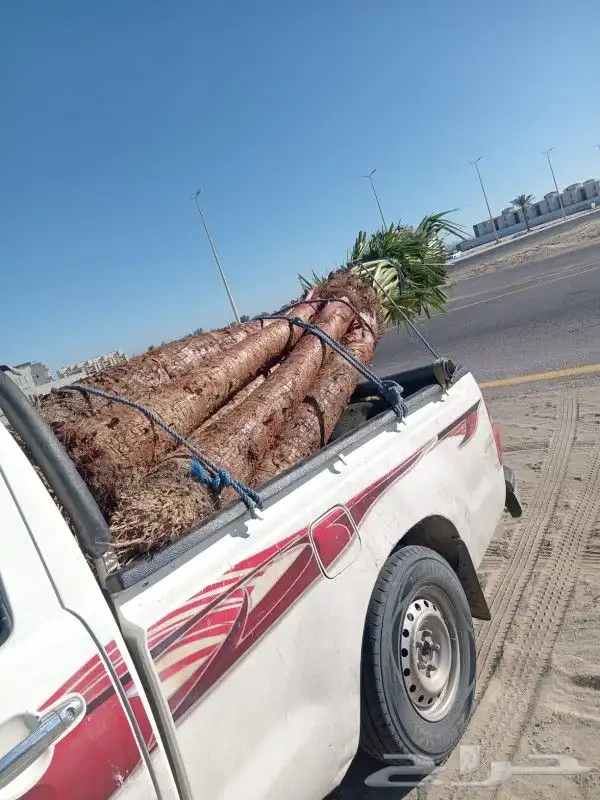 واشنطن للبيع 0