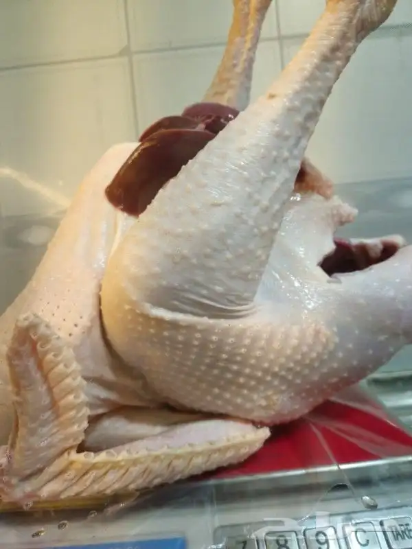 ديك رومي ذبح طازج 0