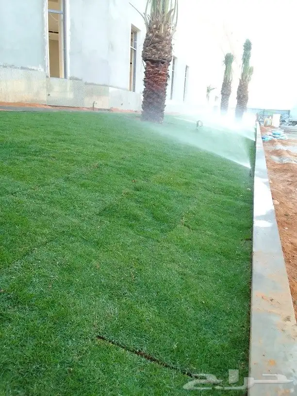 تنسيق حدائق 3