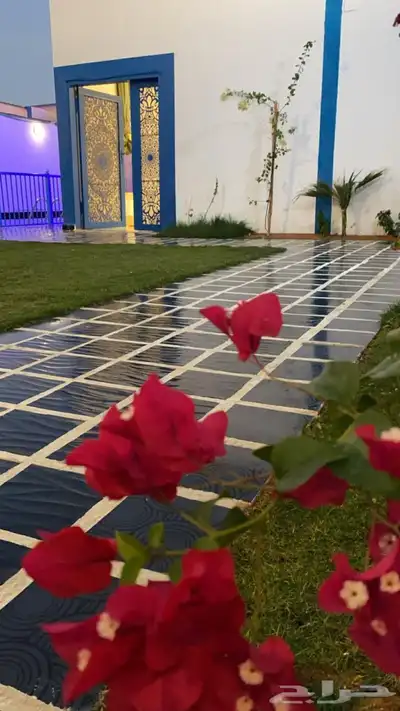 شاليه رخيص لنفس اليوم 11