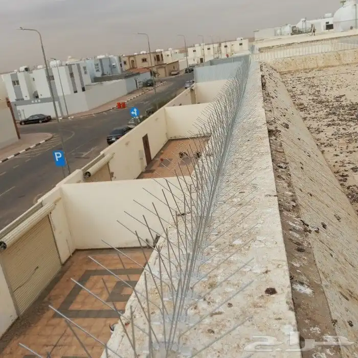 طرد الحمام شبابيك 4