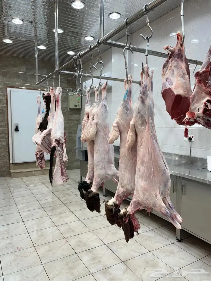متجر ذبيحة تابي وتمارا 75