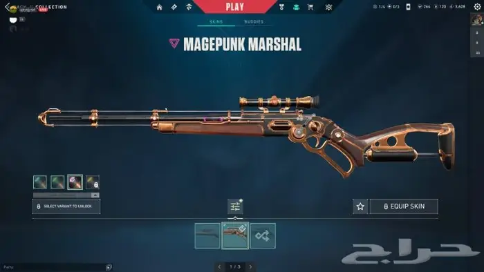 حساب فالو تشامبين 2021 6