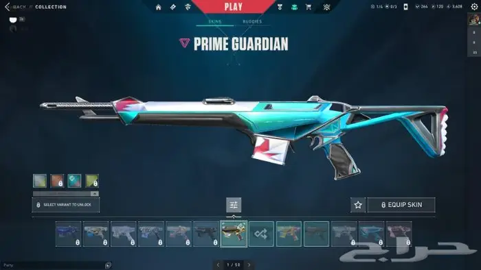 حساب فالو تشامبين 2021 7