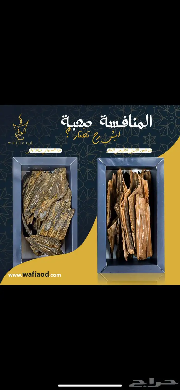 العود المحسن سحر الفخامه في كل نفحة معنا 5