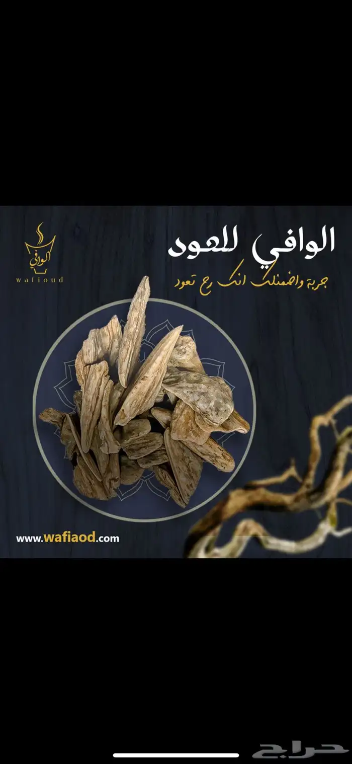 العود المحسن سحر الفخامه في كل نفحة معنا 7