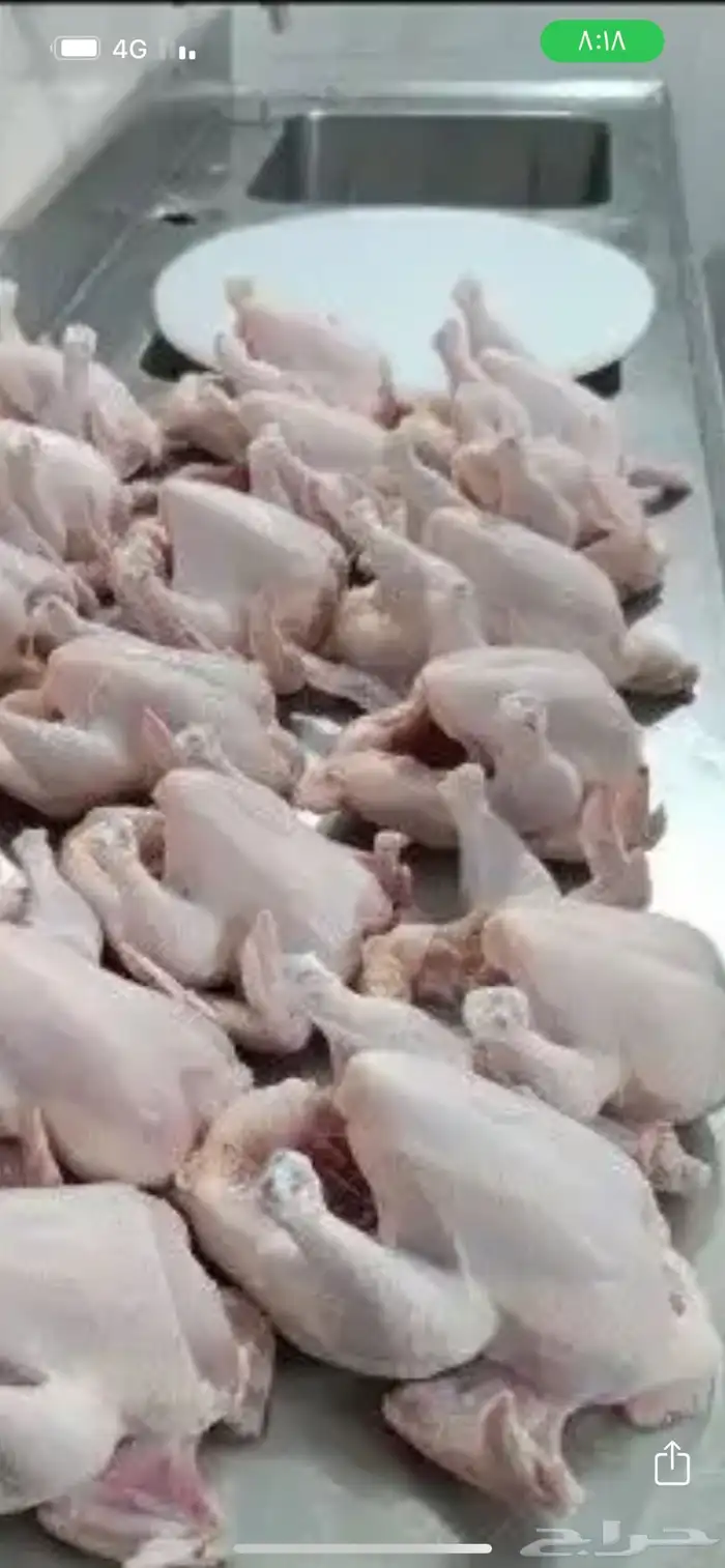 دجاج لاحم (قيا) 1