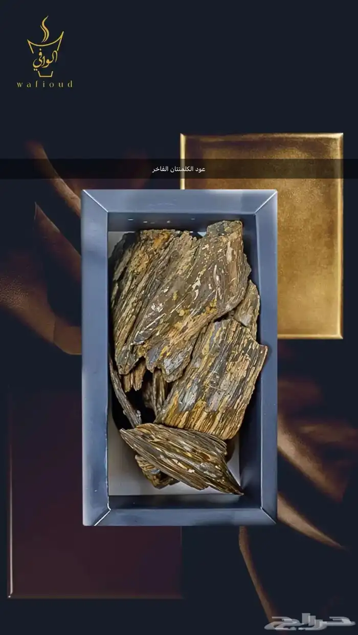 العود المحسن سحر الفخامه في كل نفحة معنا 10