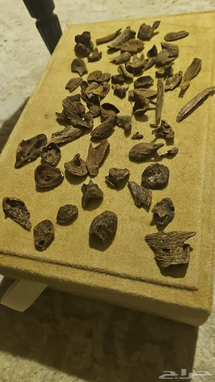 عود قديم كلمنتان مالينو 3