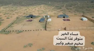 مخيم خيول دبابات للايجار بالبكيرية 0