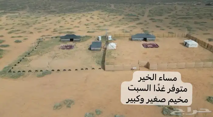 مخيم خيول دبابات للايجار بالبكيرية 0