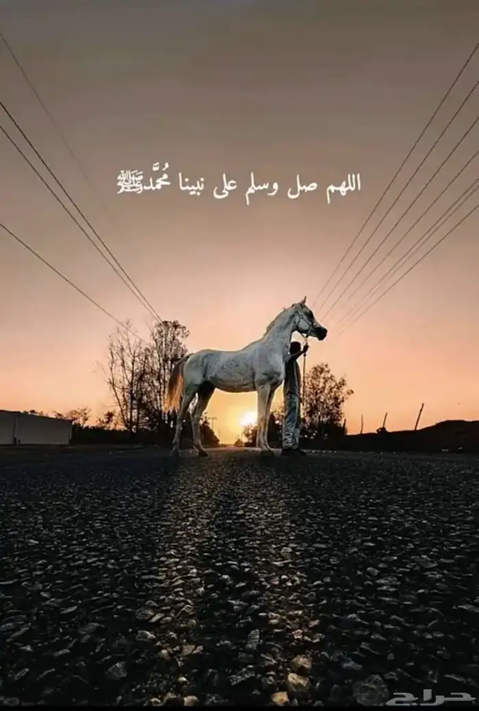 ايواء باسعار مناسبة 7
