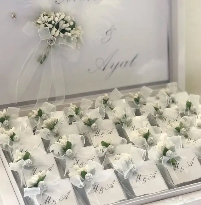 توزيعات مواليد 6
