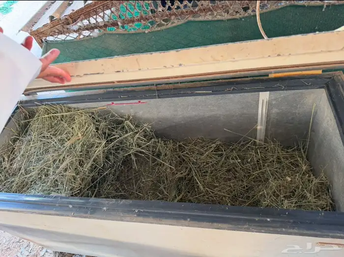 فقاسات محاكر عوامات معالف سقايات صحون بيض 8