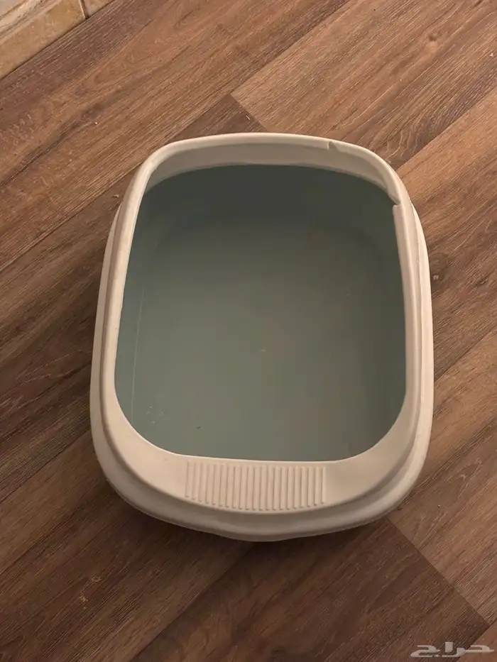 لتر بوكس قطط صغار 1