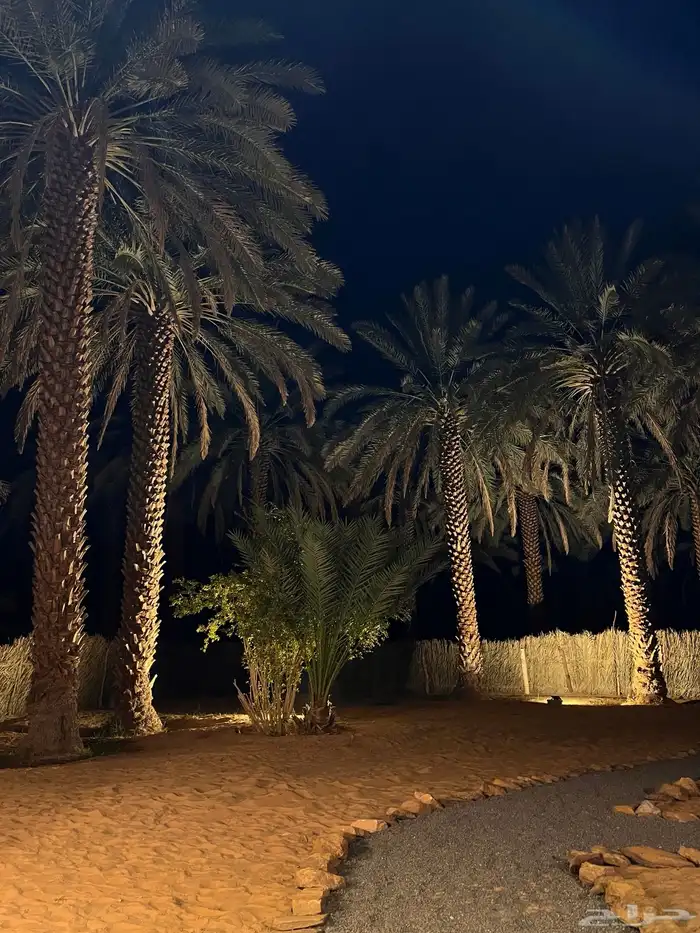 العلا 9