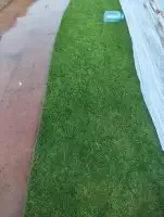 جميع انواع الثيل 6