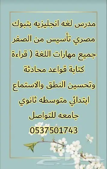 مدرس لغه انجليزيه بتبوك تأسيس من الصفر ابتدائي متوسطه ثانوي 2