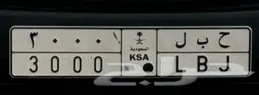 لوحة خصوصي مميزة للبيع ( ح ب ل 3000 ) 0