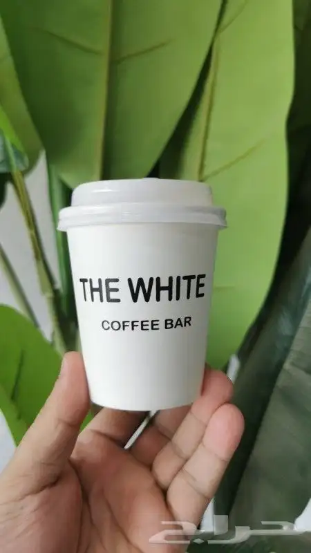 طباعه على اكواب الكرتون والبلاستيك بكافه المقاسات والالوان 2