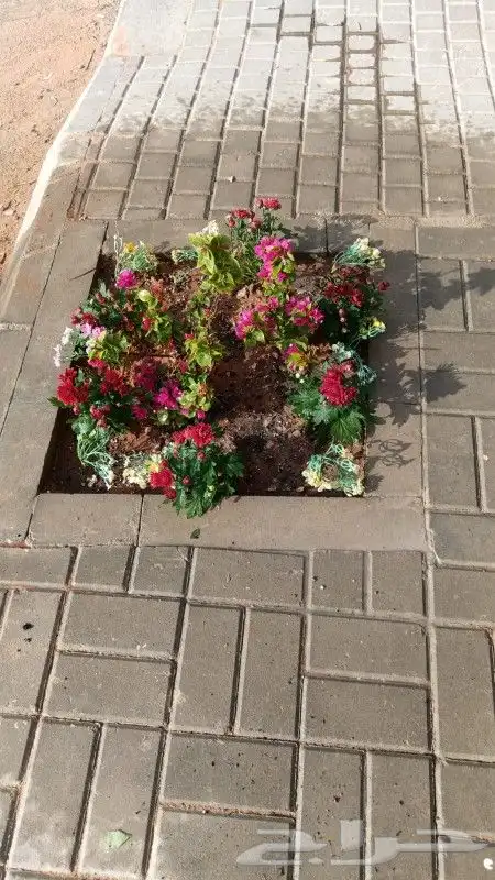 تركيب انترلوك وبلدوره لتواصل ابو مصطفى 7