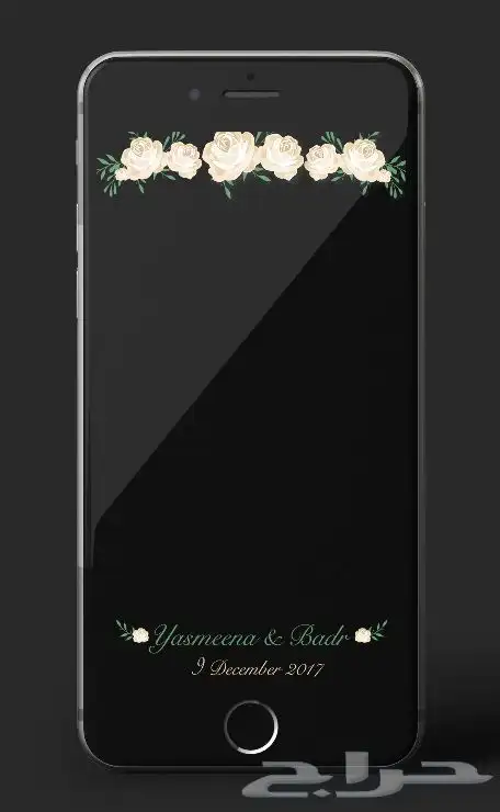 فلاتر سناب 0