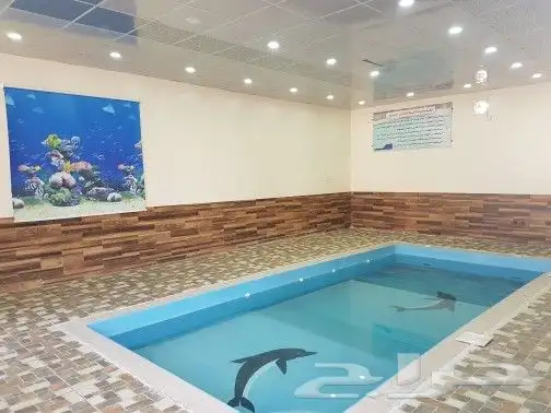 استراحة الدرة 10