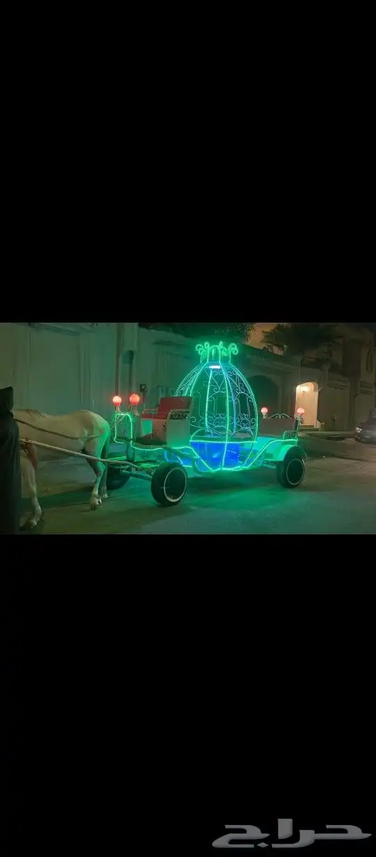 تاجير الجمل و البوني السيسي و الحصان و الحنطور 7