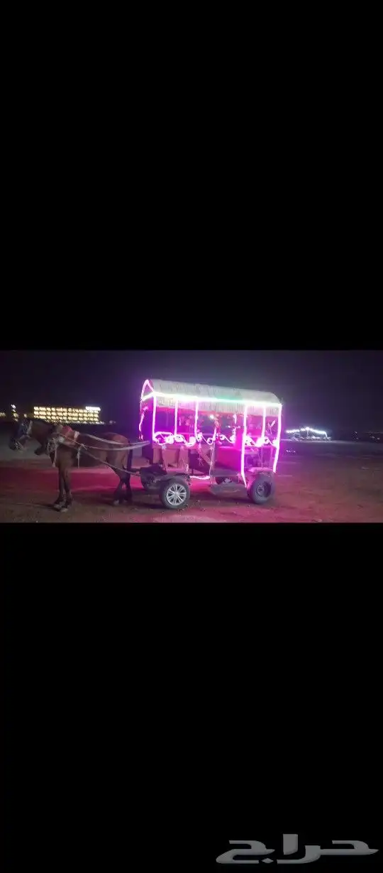 تاجير الجمل و البوني السيسي و الحصان و الحنطور 6