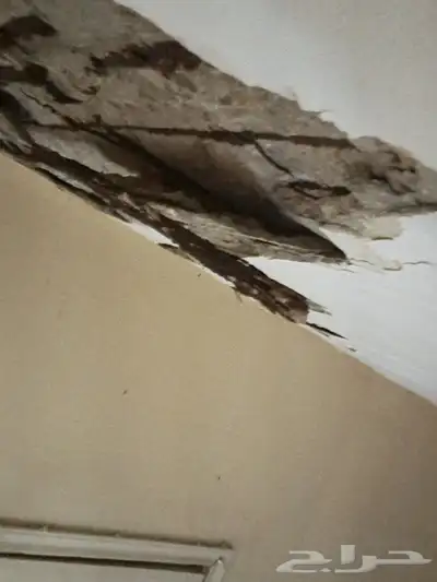 ابوكسي ارضيات وعزل الاسطح والخزانات وترميم index