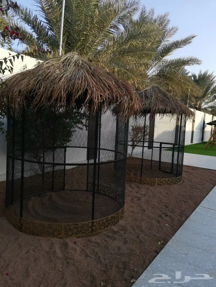 محميه طيور مصغره 5