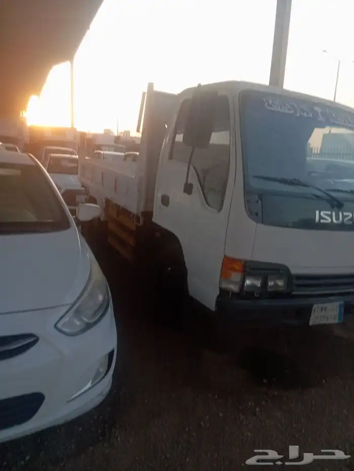 دينا الإيجار الشهري واليومي وترحيل مخلفات 3