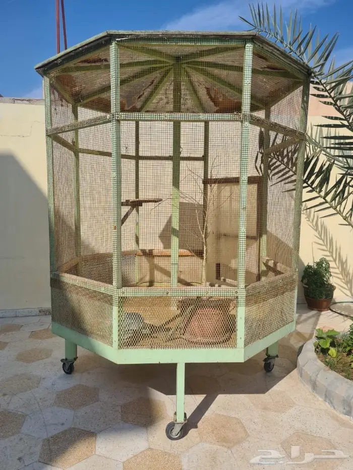 قفص متحرك في رأس تنوره 0
