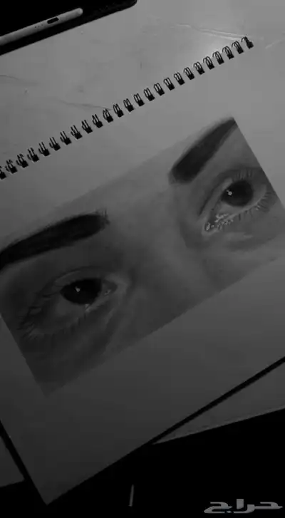 رسم 2