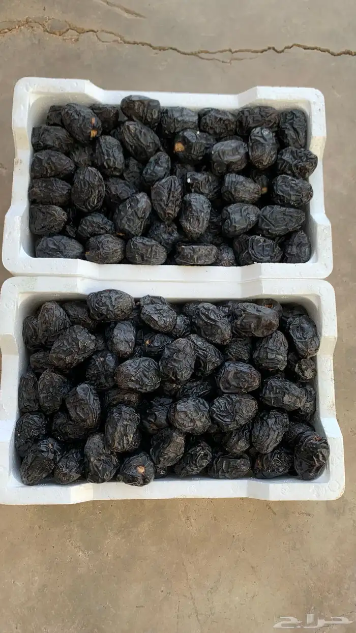 تمور المدينة ( عجوة صقعي مجدولة مبرومة ) سكري القصيم 5