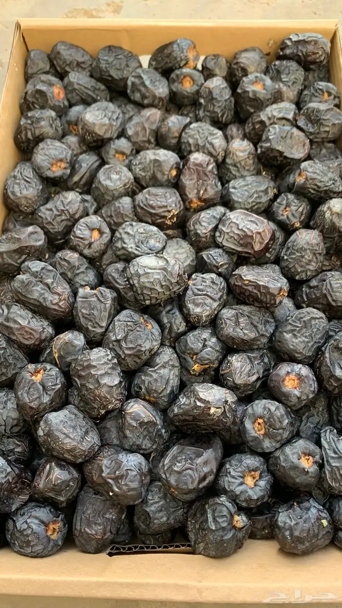 تمور المدينة ( عجوة صقعي مجدولة مبرومة ) سكري القصيم 6